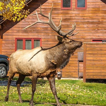 Rams Horn Village Resort Estes Park Dış mekan fotoğraf