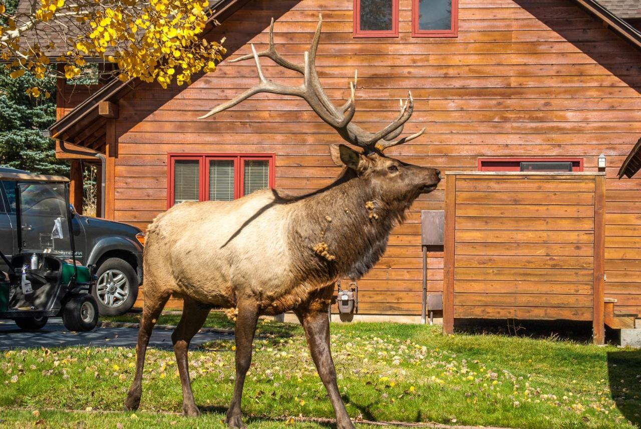 Rams Horn Village Resort Estes Park Dış mekan fotoğraf
